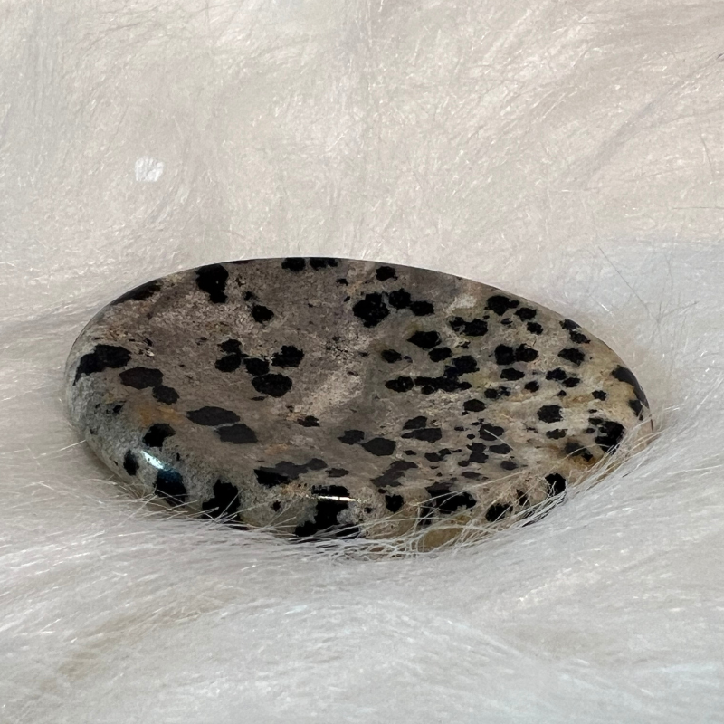 DALMATIAN JASPER WORRY STONE